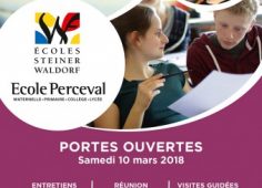 perceval JPO-web