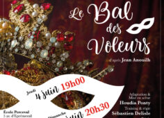 Proposition Affiche Bal des Voleurs 11 A3 VECTO